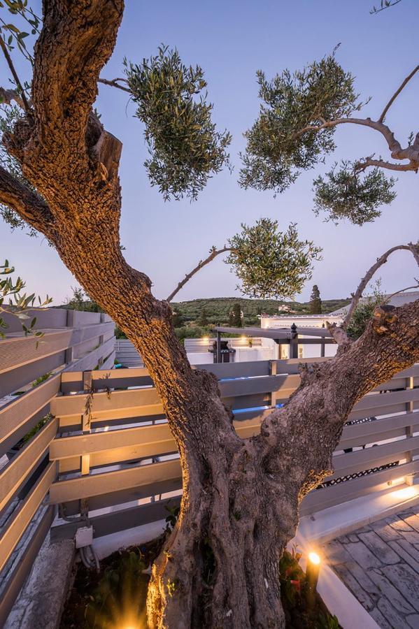 B&M Villas Metochi Siriliou Extérieur photo